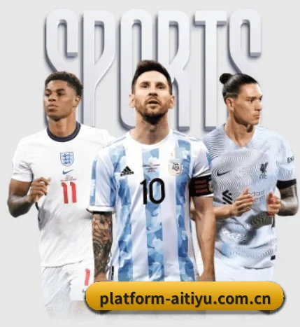 platform-aitiyu.com.cn的方向